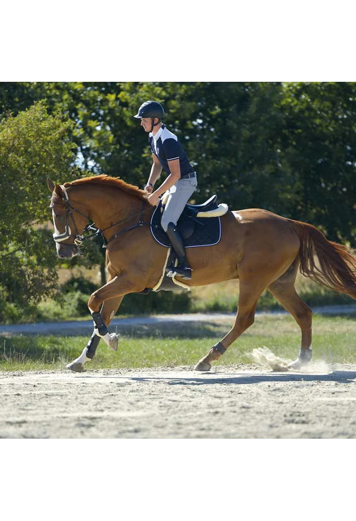 Oficerki KAVALKADE Maximus