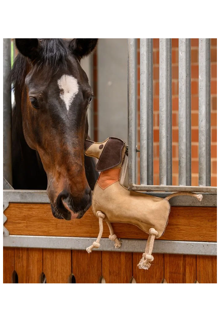 Zabawka dla konia WALDHAUSEN Dachshund Dieter