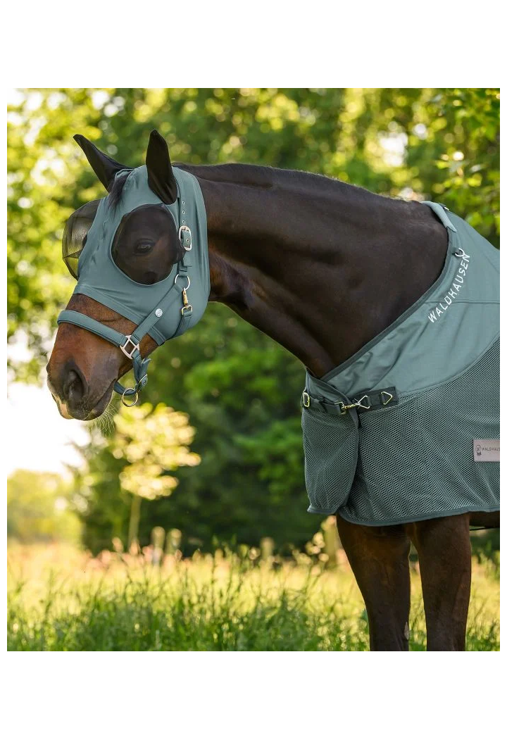 Moskitiera WALDHAUSEN Puck wiosna/lato 2026