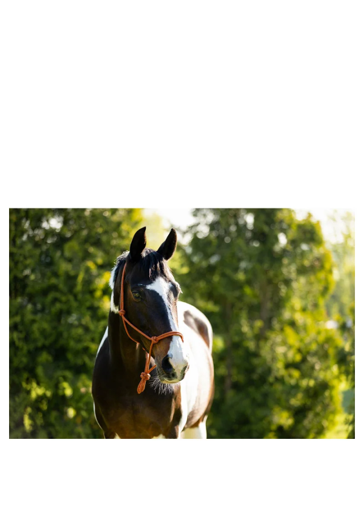 Kantar sznurkowy BR Klara wiosna/lato 2026