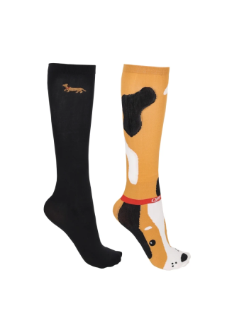 Skarpetki QHP Dachshund 2pary