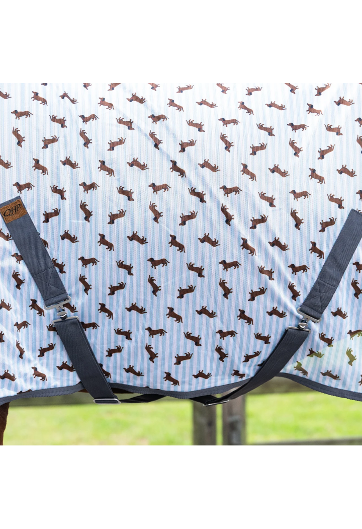 Derka siatkowa QHP Dachshund