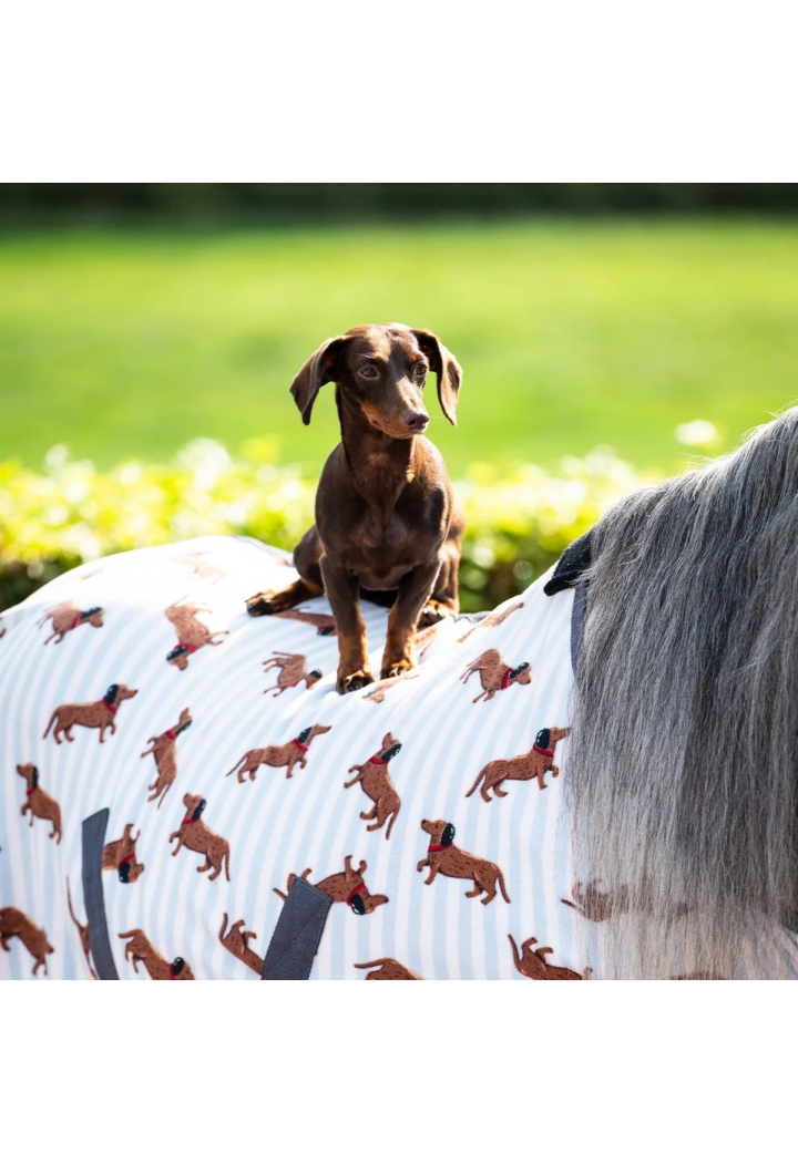 Derka polarowa QHP Dachshund