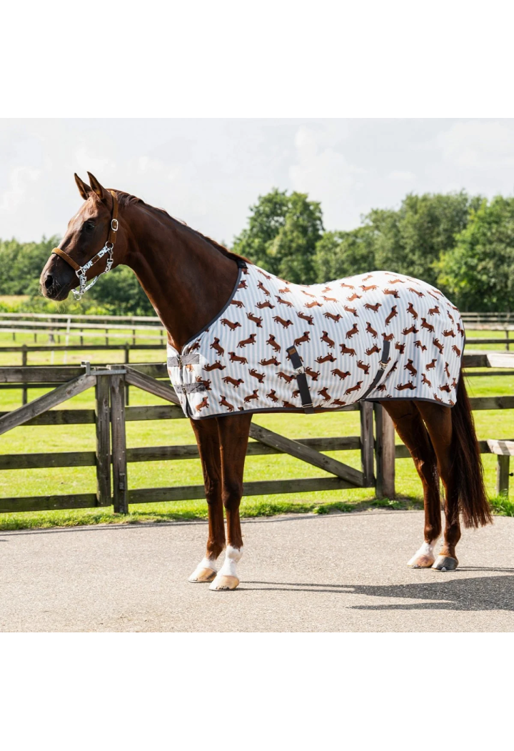 Derka polarowa QHP Dachshund