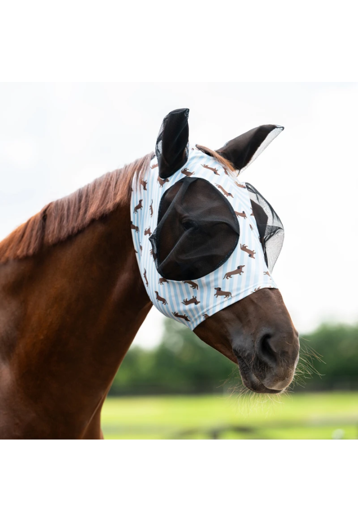 Moskitiera QHP Dachshund