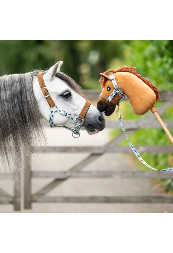 Kantar z uwiązem QHP Dachshund