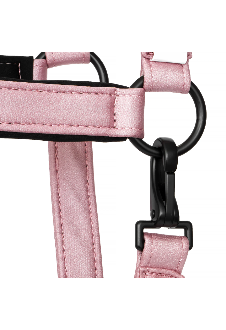 Kantar EQUESTRIAN QUEEN wiosna/lato 2026