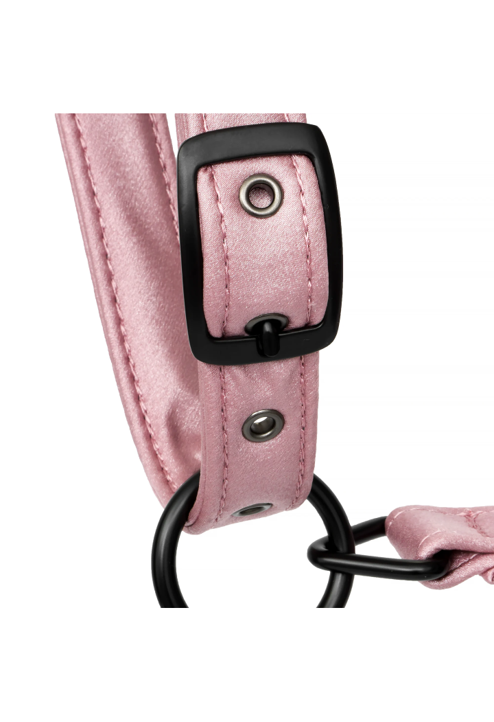 Kantar EQUESTRIAN QUEEN wiosna/lato 2026