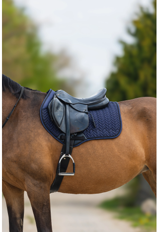 Czaprak START Helsinki