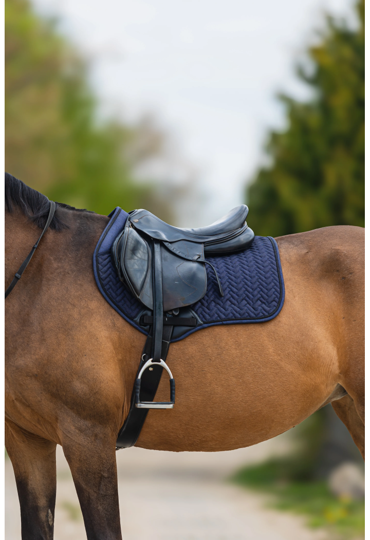 Czaprak START Helsinki