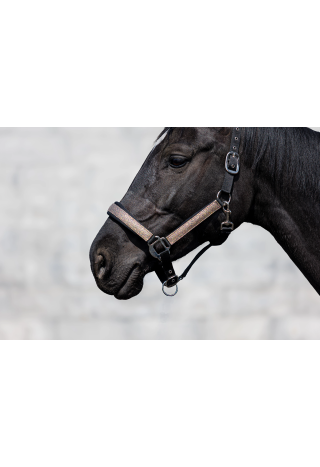 Kantar START NeopreneGlitter2tone