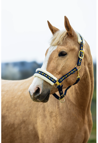 Kantar START Star&Heart