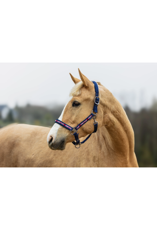 Kantar START StartPlay