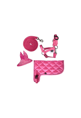 Zestaw neonowy HKM Hobby Horse