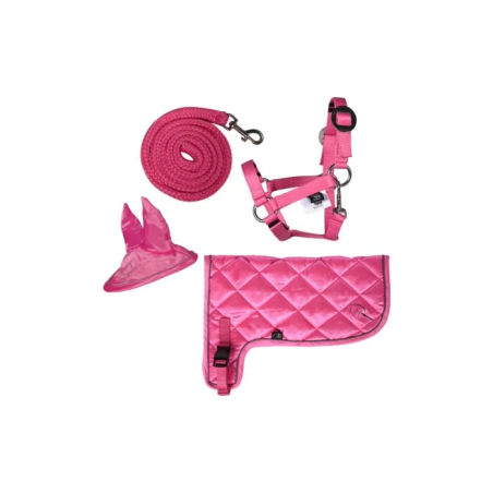 Zestaw neonowy HKM Hobby Horse