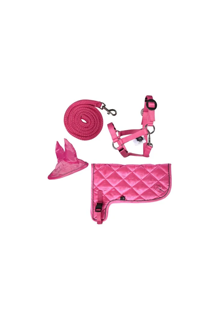 Zestaw neonowy HKM Hobby Horse