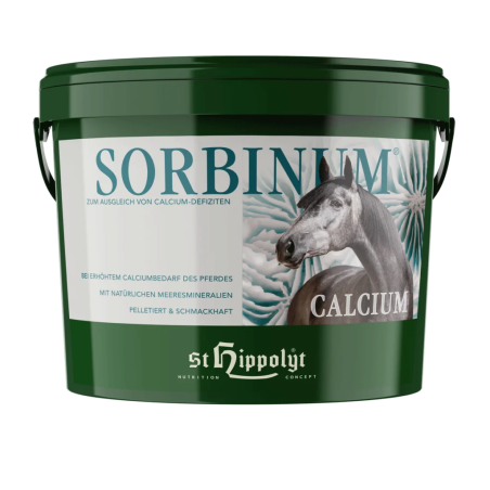 Wapń ST.HIPPOLYT Calcium Sorbinum 10kg