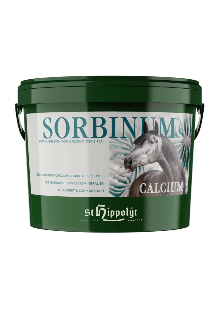 Wapń ST.HIPPOLYT CalciumSorbinum 10kg