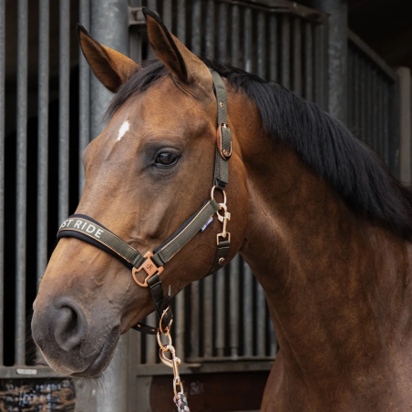 Kantar i uwiąz Harry's Horse Just Ride Summer Chique 26SS