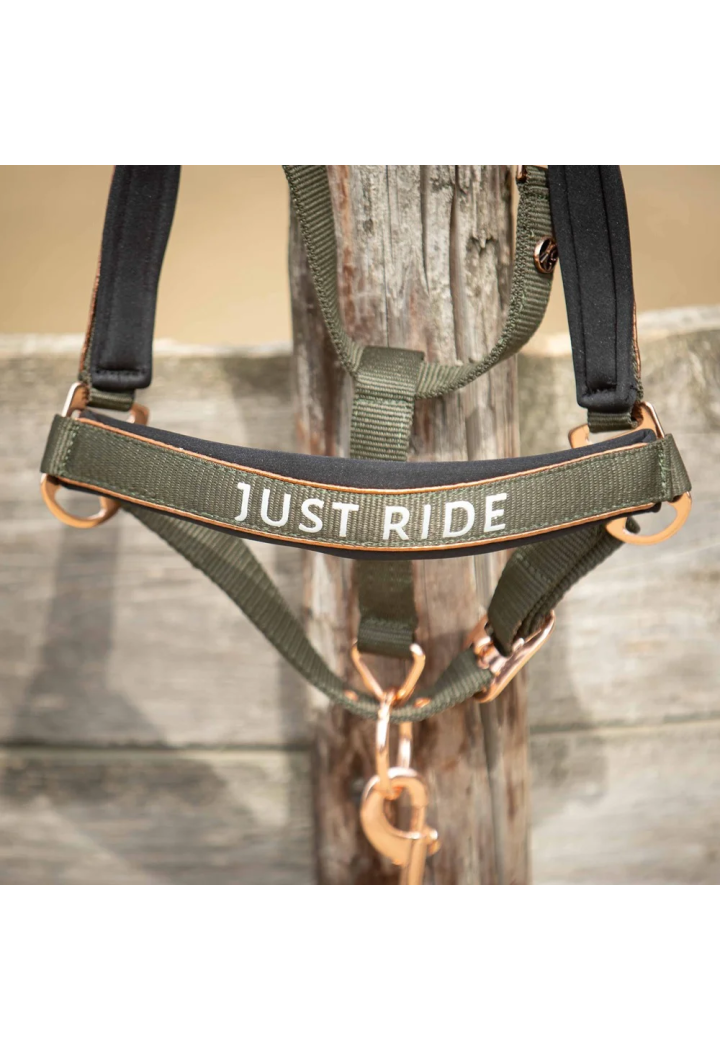 Kantar+Uwiąz Harry's Horse Just Ride Summer Chique