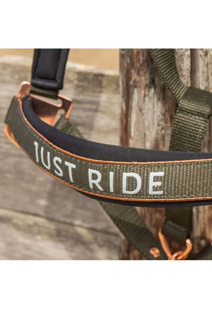 Kantar+Uwiąz Harry's Horse Just Ride Summer Chique
