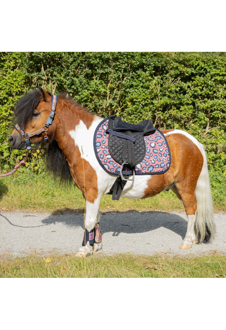 Czaprak dla kuca Harry's Horse Diva Mauvewood