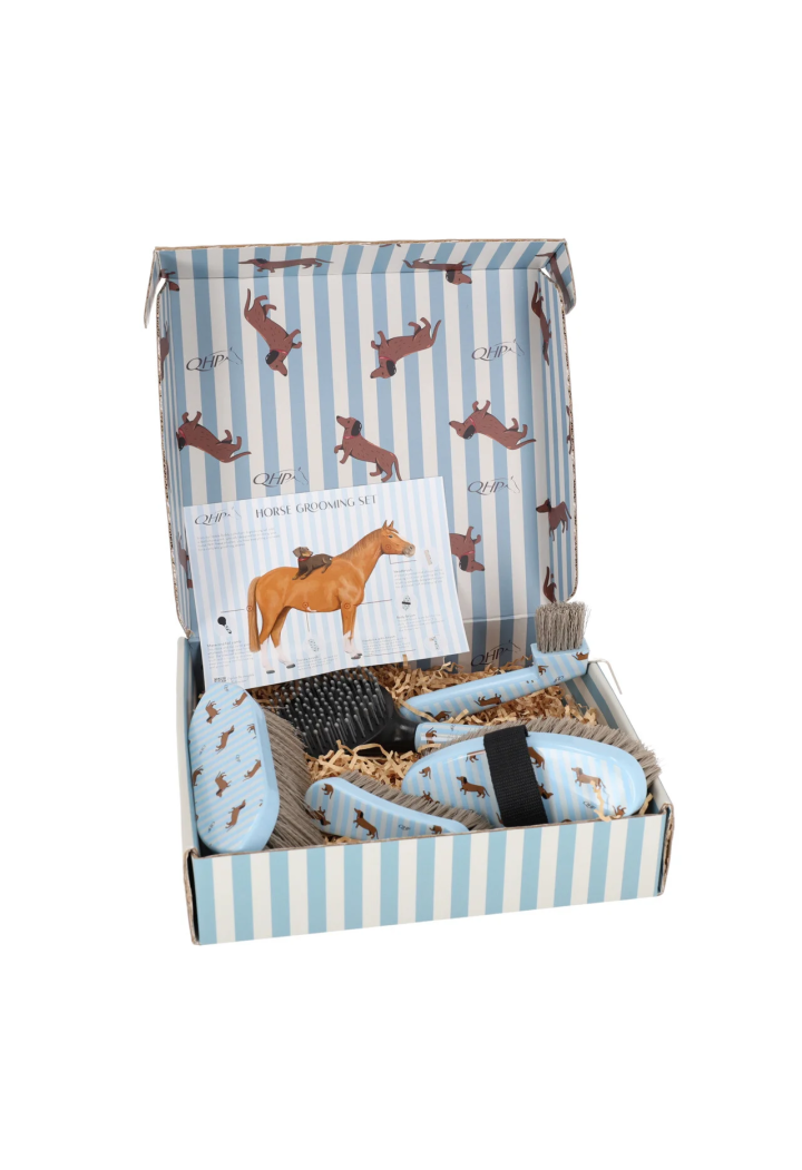 Zestaw Szczotek QHP Stable Buddy Dachshund