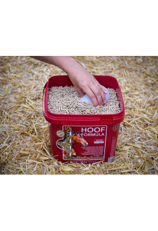 Suplement na kopyta KEVIN BACON'S HoofFormula 5kg | Sklep jeździecki Horse-Trade.pl