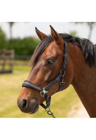 Kantar z uwiązem Harry's Horse Eq.Society