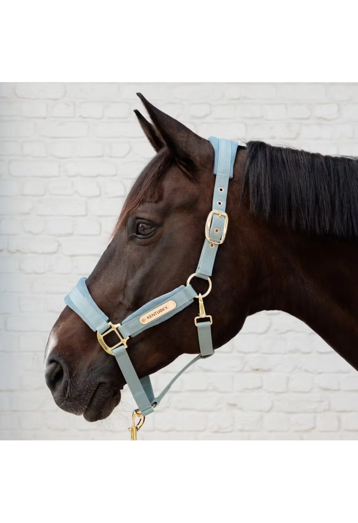Kantar KENTUCKY Velvet | Sklep jeździecki Horse Trade.pl