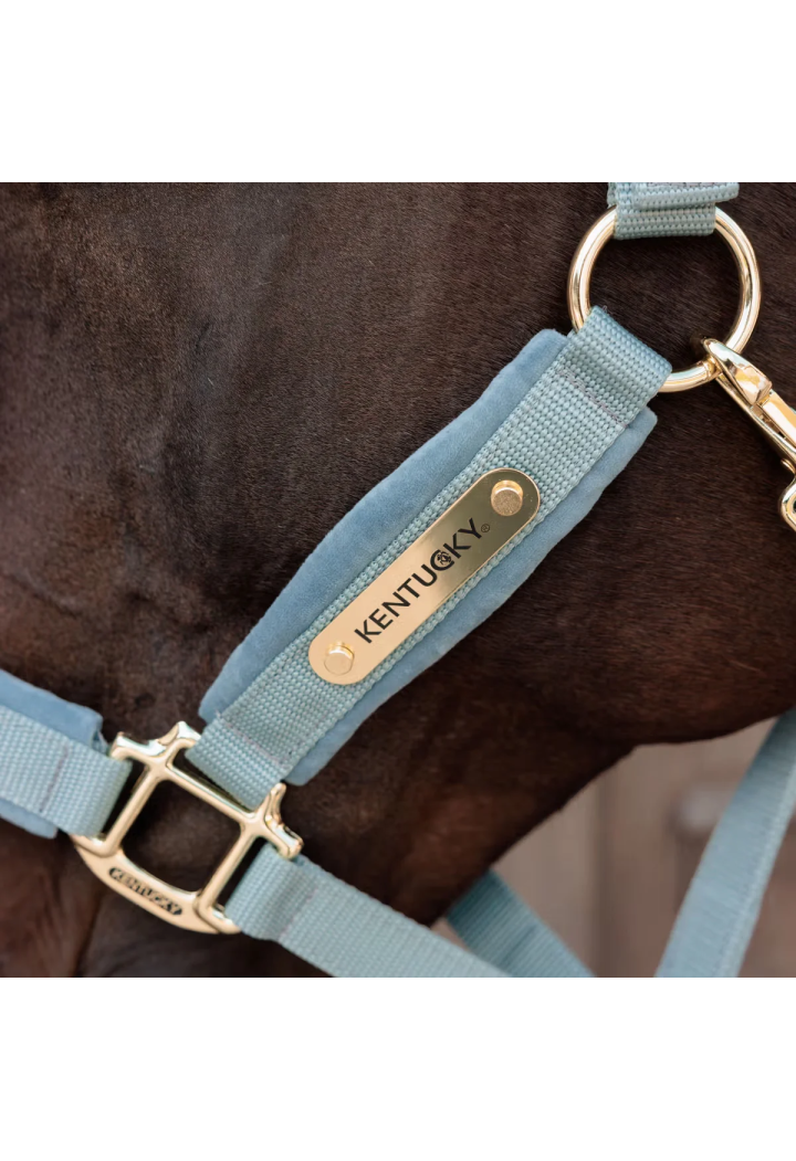 Kantar KENTUCKY Velvet | Sklep jeździecki Horse Trade.pl