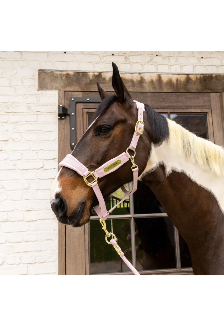 Kantar KENTUCKY Velvet | Sklep jeździecki Horse Trade.pl