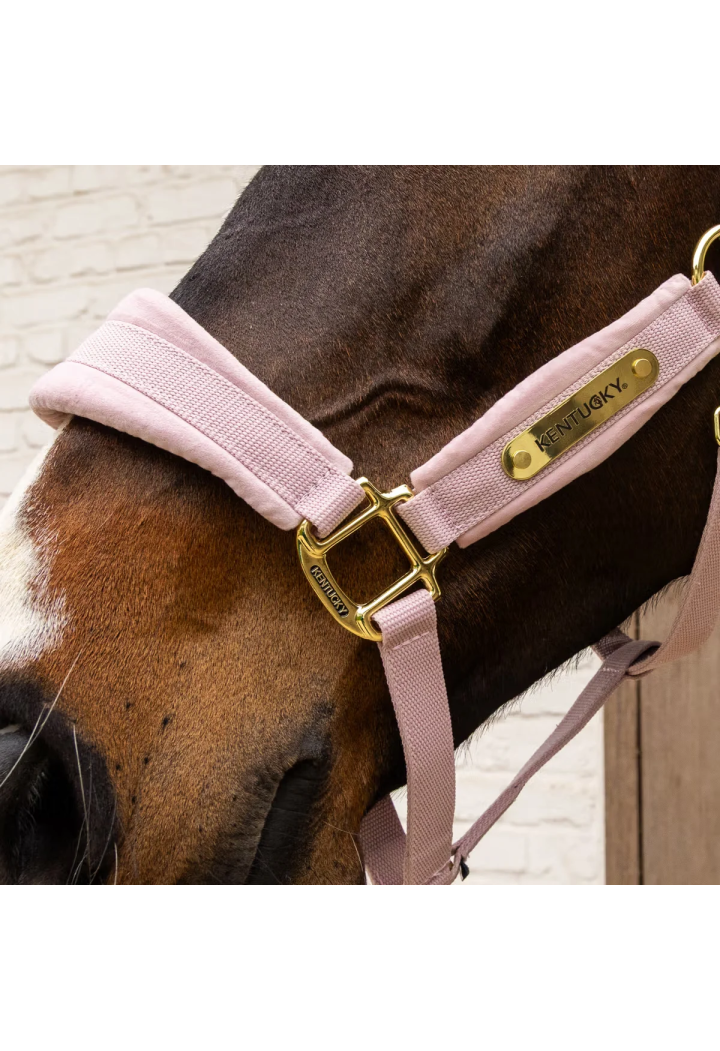 Kantar KENTUCKY Velvet | Sklep jeździecki Horse Trade.pl