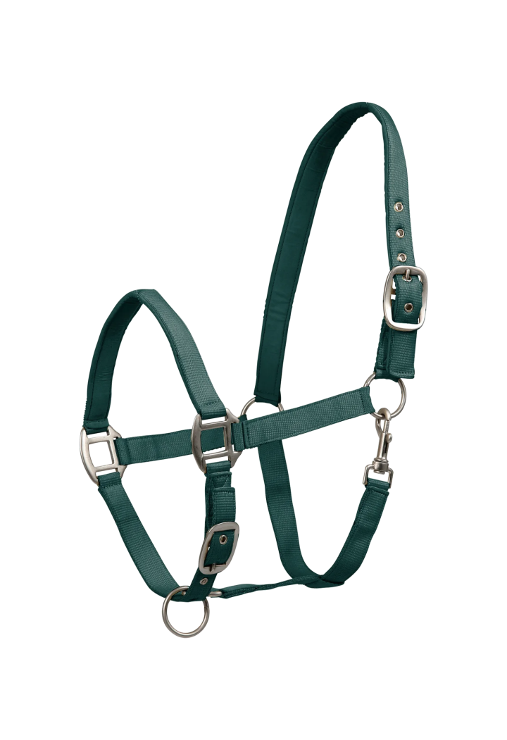 Kantar WALDHAUSEN Satin