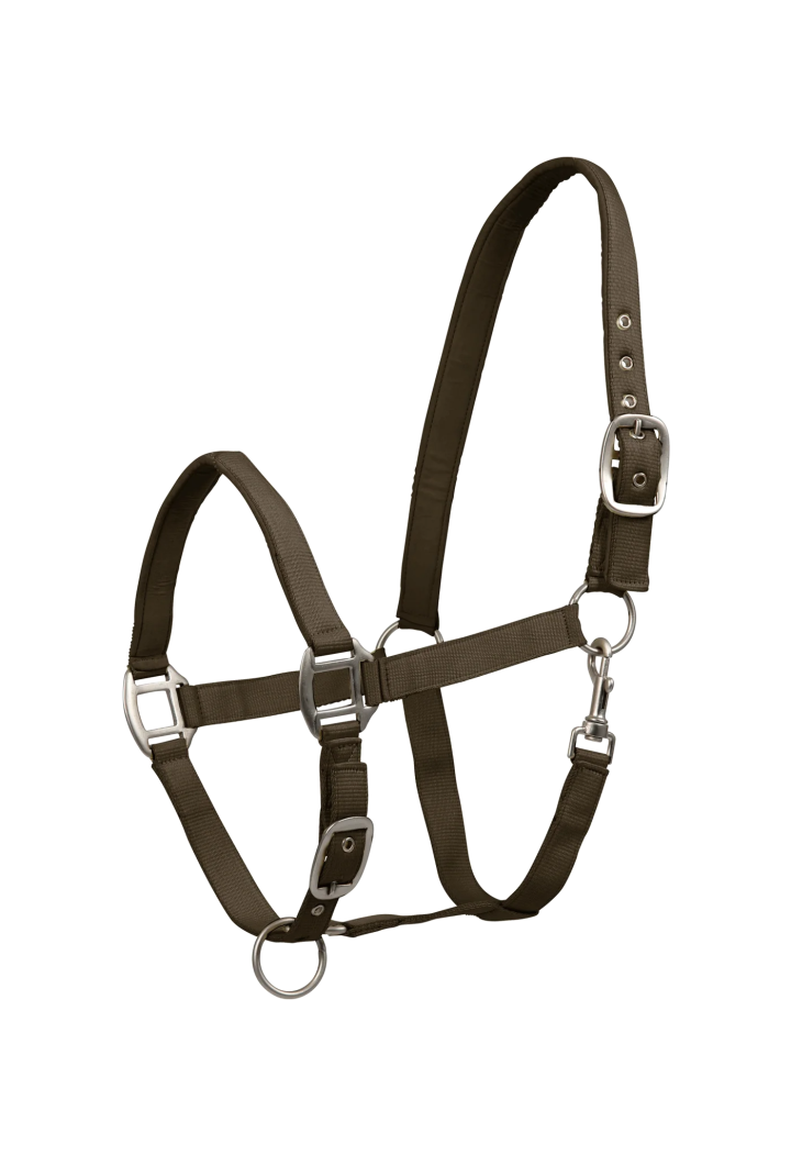 Kantar WALDHAUSEN Satin