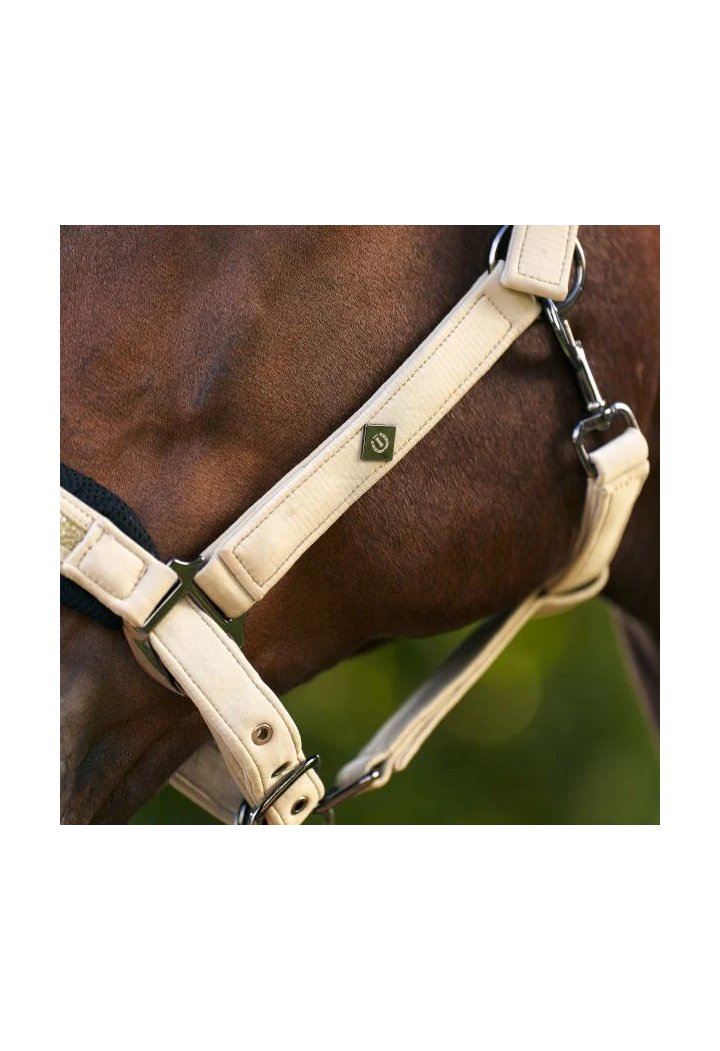 Kantar z podszyciem Imperial Riding IRHJewel Mesh