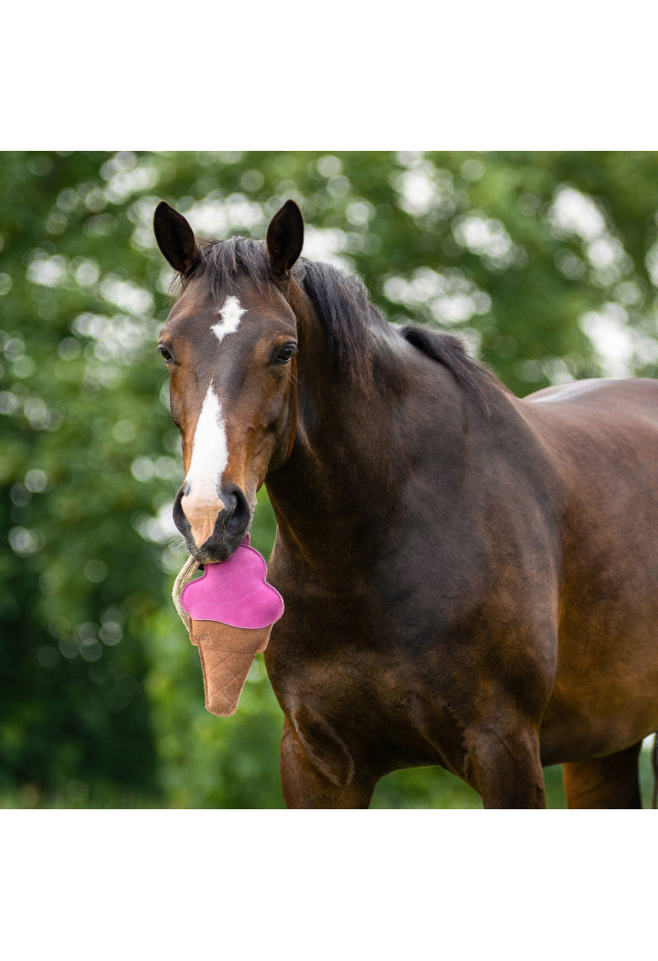 Zabawka dla konia QHP Ice Cream
