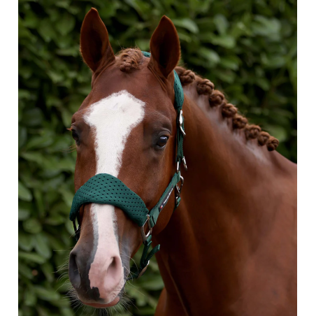 Kantar z uwiązem PREMIER EQUINE Necto 3D Mesh