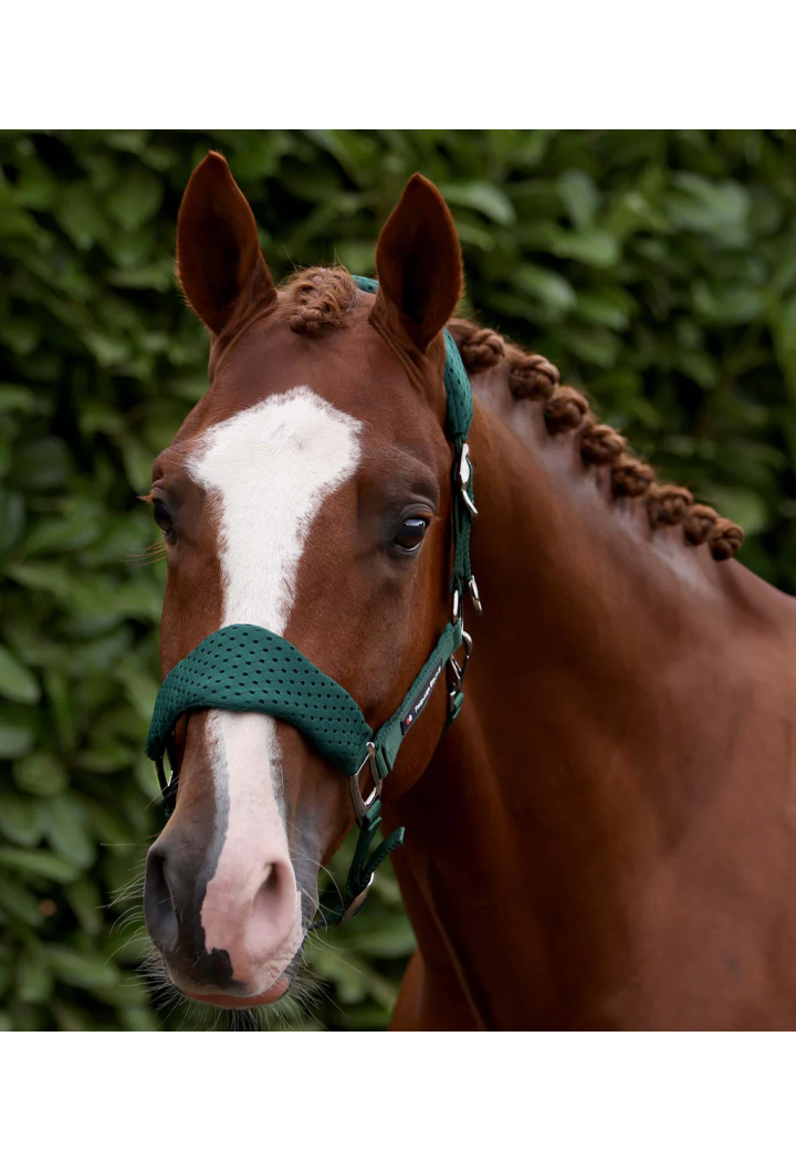 Kantar z uwiązem PREMIER EQUINE Necto 3D Mesh