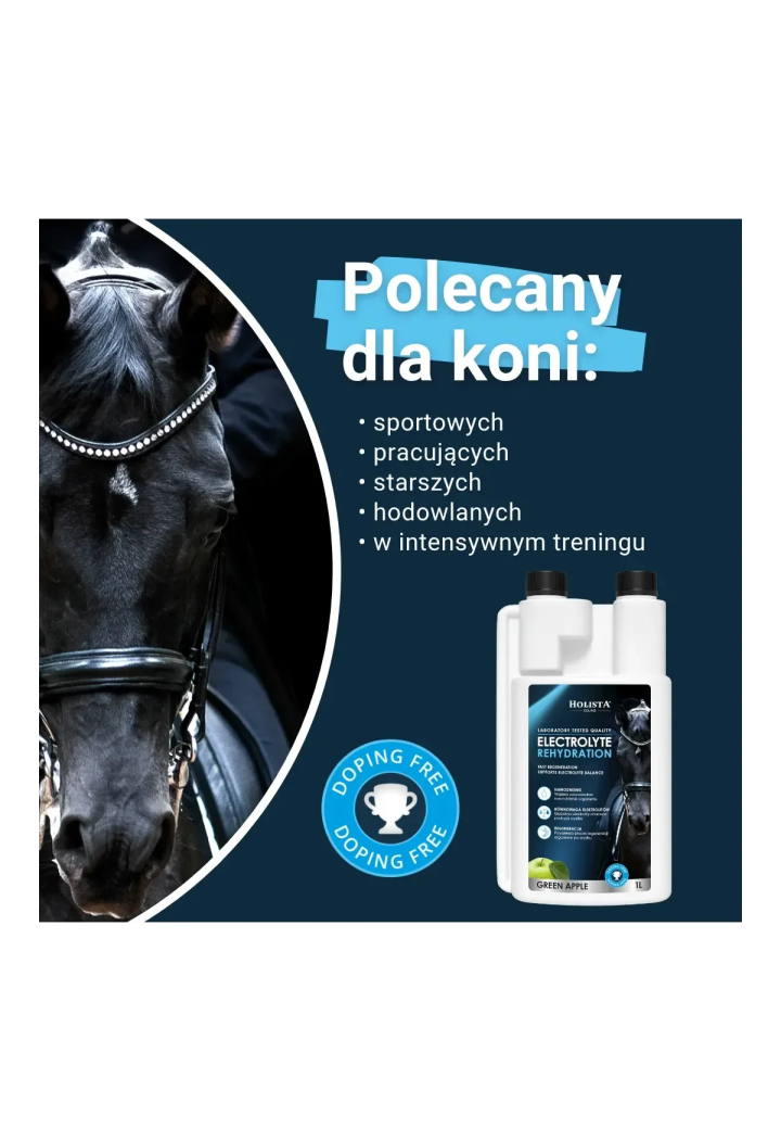 Elektrolity HOLISTA Electrolytes Rehydration 1l
