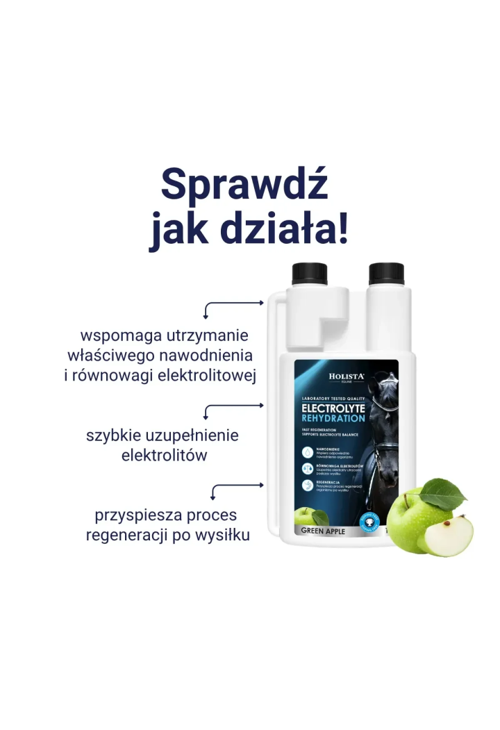 Elektrolity HOLISTA Electrolytes Rehydration 1l