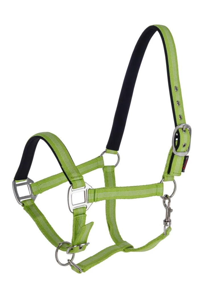 Kantar COVALLIERO Mustang
