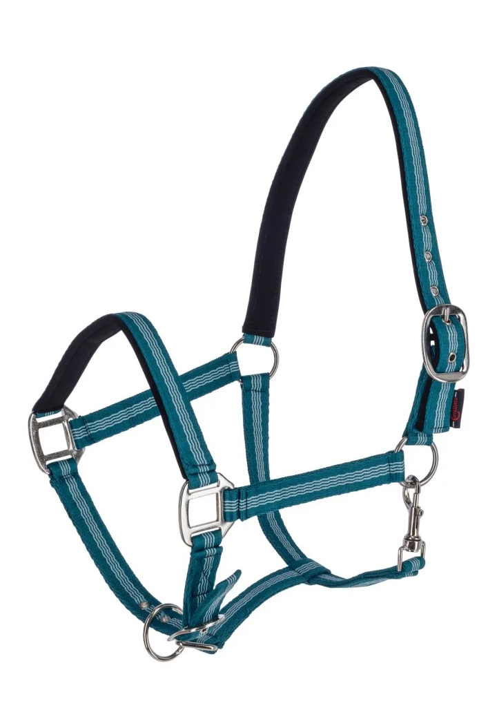 Kantar COVALLIERO Mustang