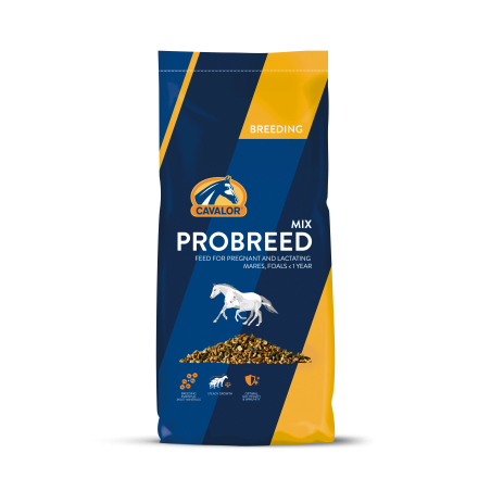Pasza dla klaczy hodowlanych CAVALOR Probreed Mix 20kg musli