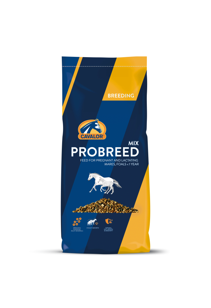 Pasza CAVALOR Probreed Mix dla klaczy 20kg musli