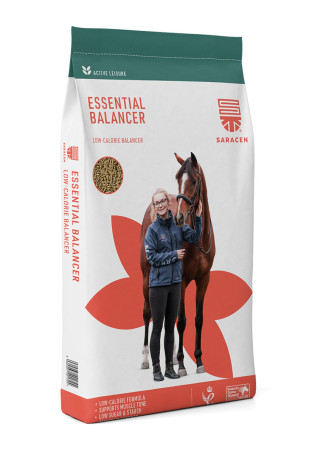 Pasza SARACEN Essential Balancer 20kg