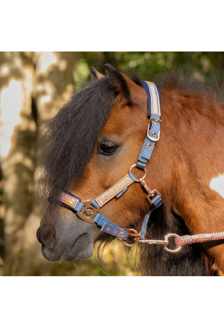 Kantar z uwiązem Harry's Horse Diva Mauvewood 26SS