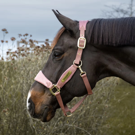 Kantar KENTUCKY Velvet Unicorn Glitter