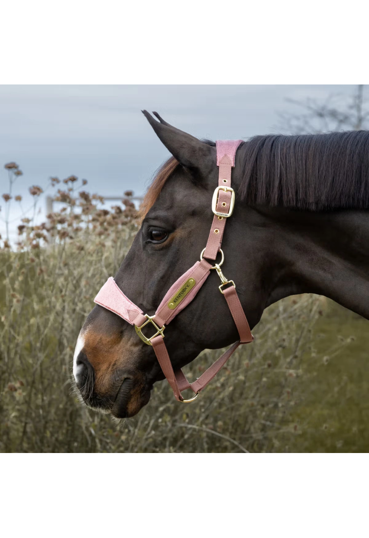 Kantar KENTUCKY Velvet Unicorn Glitter