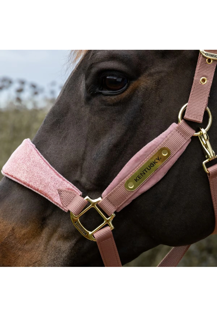 Kantar KENTUCKY Velvet Unicorn Glitter